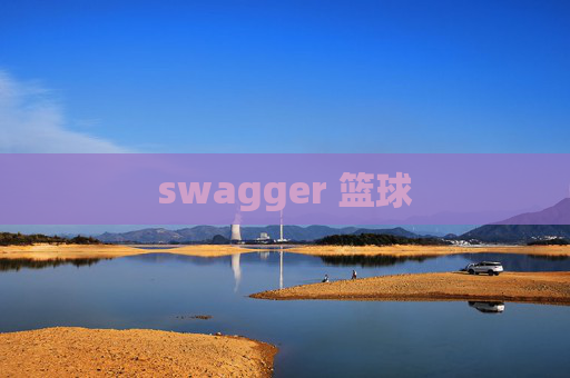 swagger 篮球