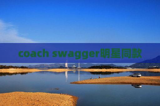 coach swagger明星同款